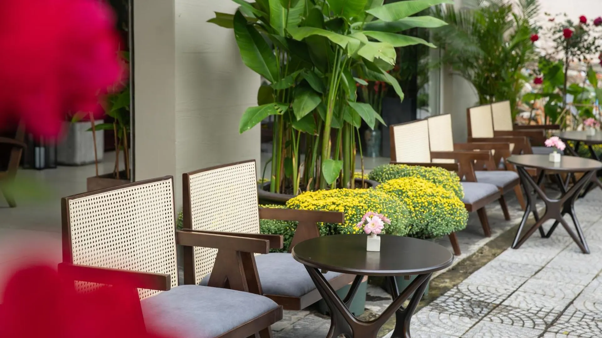 Tashi Boutique Da Nang Hotel Guest house