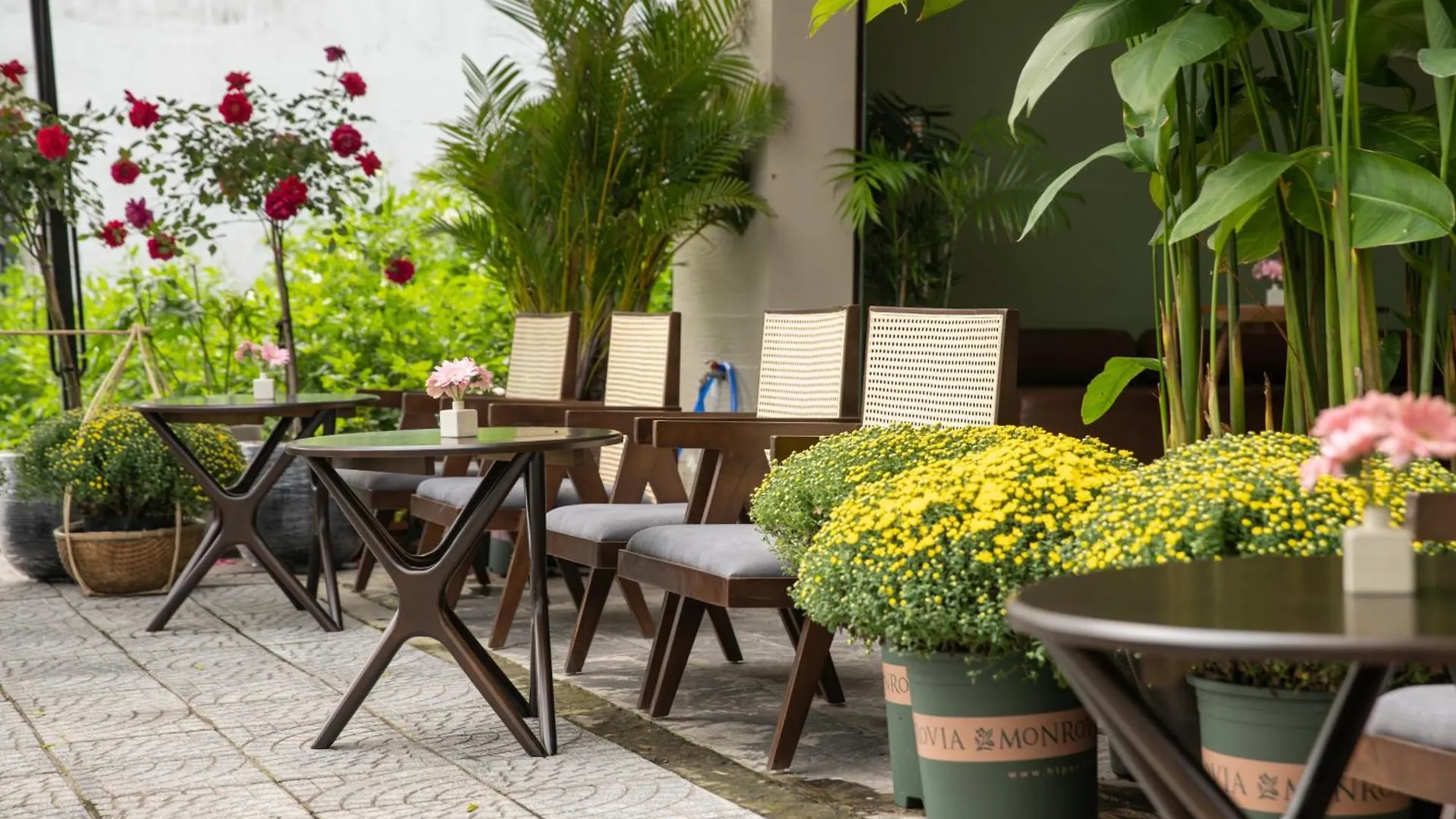 Guest house Tashi Boutique Da Nang Hotel Vietnam